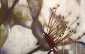 SENSI ARTE_Effetto natura viola, fiore di cappero, acrilico su tela, cm 120 x100_BRLM_23